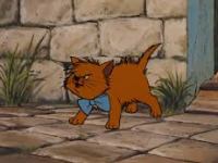 Is It A Cat, Or Is It A Limiting&nbsp;Belief?